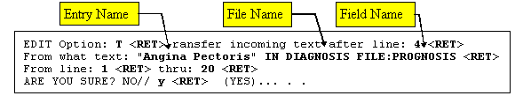 Example of Transferring Text.