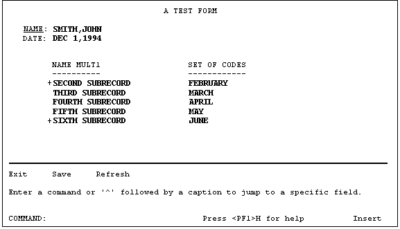 Example of Fields Displayed in a Repeating Block.