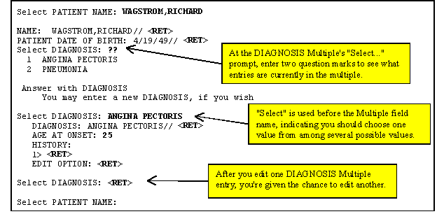 Example of Adding Data to a Multiple Field in a Record.