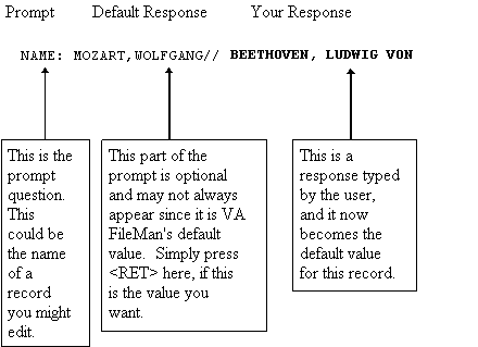 Example Showing the Components of a Prompt and the User's Response.