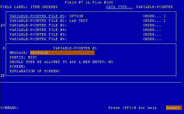 Example of a VARIABLE-POINTER DATA TYPE in Screen Mode.